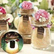 강군샵 [강군샵] 플라워 LED 푸딩병(핑크)/테라리움 마리모 키우기 DIY, 선택완료