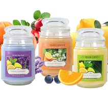 소이 아로마캔들 차량방향제 567g 워머 무드등만들기 향초 향수공방 석고방향제 화장실방향제 실내방향제 13종, 쿠팡2 레몬유칼립투스, 쿠팡2 본상품선택