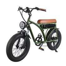 전기팻바이크 pas전기자전거 트랙 로드 레트로 eswing esbike-01 20 인치 전기 산악 자전거 500w 48v ebike 지방 타이어 전기 자전거, 초록