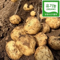쪄먹는 강원도 산골 유기농 분감자, 소 10kg (휴게소 알감자사이즈), 1개