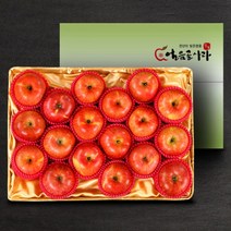 산내들 [산내들] 명품 밀양얼음골 기스사과 5kg (17내), 1
