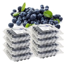 생 블루베리, 1개, 1kg(125g*8팩)