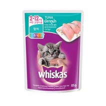 위스카스 고양이 주식 파우치 주니어 참치, 80g, 7개