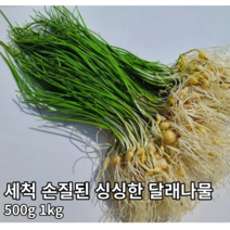 [국내산/국산] 손질된 향긋한 달래나물 400g 1kg 제철 봄나물 당일채취 세척달래 손질달래 달래 나물 봄나물 생달래 생