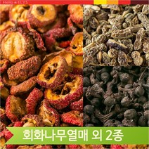 건강차 산사열매 헛개열매 회화나무열매 600g 식수, 지구자(134M)