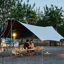 TANI 신개념 블랙코팅 대형타프 T 형 폴대 팩 로프 풀세트, 아이보리