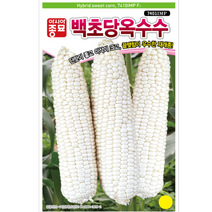 옥수수씨앗종자 백초당 옥수수(100립) S0131