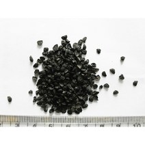 토종 부추씨앗 10 g