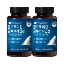 내추럴에너지 웰핏 콘드로이친 글루코사민정, 60정 x 2개