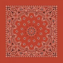 하바행크 Paisley Bandana-TERRACOTTA