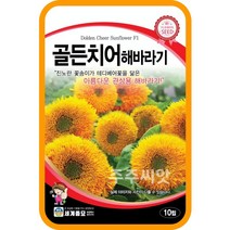 골든치어해바라기 30립 관상용해바라기 진노랑 꽃송이 씨앗 종자 꽃씨