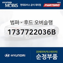 범퍼-후드(본네트) 오버슬램 (1737722036B)-현대모비스 부품 공식대리점 온라인쇼핑몰 파츠로 싼타페, 1개