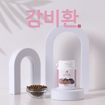감비환(90g) 식욕조절 다이어트 체중감량 건강한 다이어트 정진몰