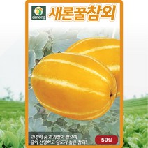 새론꿀참외씨앗 50립