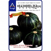 (아시아종묘/단호박씨앗)아시아 미니단호박(100립)