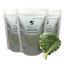 헬로우그린 천연 조미료 국산 케일 분말 250gX3(팩) 총750g, 250g 3개, 250g