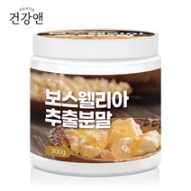 건강앤 인도산 고농축 보스웰리아 추출 분말 300g 계량스푼증정, 1개