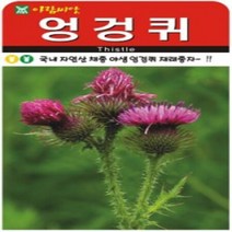 AR 엉겅퀴 소포장 씨앗 100립