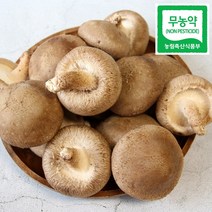 광헌팜 생표고버섯 1kg/2kg/4kg, 표고버섯 선물용 1kg, 1개
