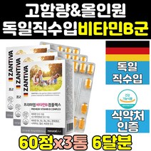 독일 메가도스 비타민 B1 B2 B3 B5 B6 B9 B12 3통 고함량 티아민 판토텐산 컴플렉스 리보플라빈 피리독신 복합체 b b군 고농축 b9 b5 b2 b6 고용량 b12