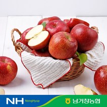 (남거창농협)달콤아삭 사과 5kg(꼬마과)27-29과 내외, 단품