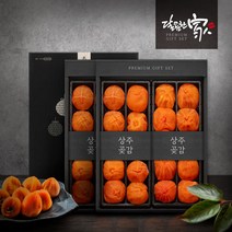 [달콤한가]상주본감 정담은 세트(반건시800g24과)x2세트 총1.6kg 48과상주곶감, 단품