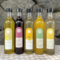 유진팡 제주산 발효 과일청 300ml, 제주산 하귤청