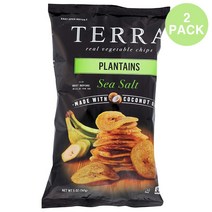 Terra Chips Plantain Sea Salt 테라 칩 플래틴 시 솔트 141g 2팩
