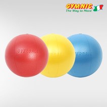 짐닉 소프트짐오버 23cm 미니짐볼 필라테스 미니볼, 파랑