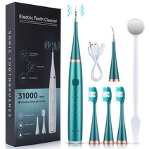 생활가전 초음파 치과 스케일러 구강 카메라 치아 치석 얼룩 제거기 전기 플라크 클리너 제거, 협력사, 초록