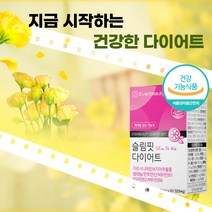 식약처 인증 체지방 감소 다이어트 보조제 가르시니아 60정 급찐살 복부 피하 뱃살 제지방 감소 HCA 탄수화물 컷팅제, 4박스
