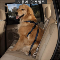강아지 안전벨트 애완견 자동차 차량 훈련간식뼈다귀 애견, 블랙