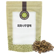 회화나무열매 괴각 500g 중국, 단품