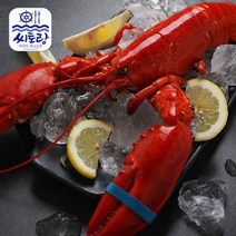 씨토랑 [씨토랑]캐나다 자숙랍스터 대 4미/미당 400~450g/냉동, 없음, 단일옵션