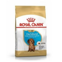 로얄캐닌 닥스훈트 퍼피 (주니어 ) 1.5kg, 3