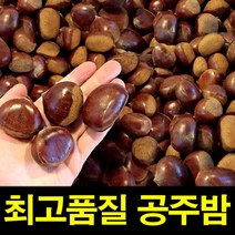 햇공주밤 1KG 칼집O 밤보관법 공주밤 밤삶기 옥광밤