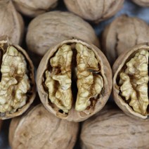 안동 국산 햇 호두 1kg 2kg 피호두 알호두 생호두 산지발송 (호두망치드림), 안동 생 호두 1kg