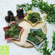 금림식품 국내산 말린 황칠나무잎 황칠잎 가지 200g, 1개