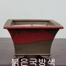 27. 손바닥정원 사각현애(대) 분재화분 승전분, 코발트색