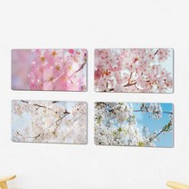 [바보사랑] 폼아크릴액자38CmX18Cm_봄의꽃벚꽃, 타입선택:2.화사