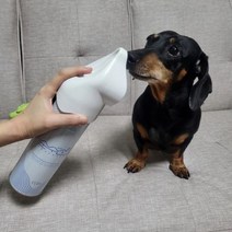 LS3)순수산소 더 펫 강아지 산소캔 반려동물 반려견 고양이 휴대용 가정용 산소호흡기 655ml 4SET, 본상품