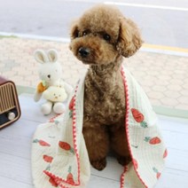 반려견 삼중면 스마일담요 강아지 푸들 애완견이불 웰시코기 말티푸, S