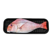 유퀴즈 참돔필통 생선펜슬케이스 재밌는 학생선물필통, 상세 참조