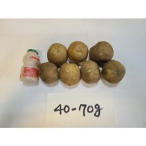 23년 신선한 하우스햇감자 3kg 5kg 10kg, 5kg중(40~70g)
