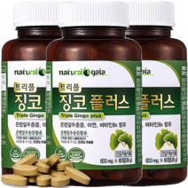 은행잎추출물 혈행개선 60정 식약청인정 은행잎 플러스 고함량 정제 추천 징코 효능, 60정 x 3개 (6개월분), 3개