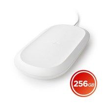 샌디스크 Ixpand Wireless Charger Sync, 256GB, 256GB