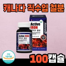 캐나다 직수입 철분 영양제 대용량 임산부 임신 초기 가임기 여성 수유부 성장기 청소년 추천 어지러움 여성 노인 남성 중년 종합 건강기능식품 철분이 많은 음식 영양제, 3개