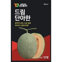 더드림 [드림단아한] 멜론씨앗 멜론종자 / 당도 일등 식감 일등 하미과 멜론씨, 1개