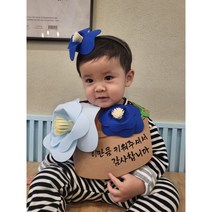 어버이날 스승의 날 가정의 달 꽃바구니, 우리선생님꽃배달왔어요, 변경해요, 파랑