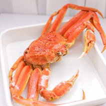 [구룡포마켓] 연지홍게 붉은대게 수율80%이상 자숙 홍게찜 포항 구룡포 산지직송, 국내산 자숙/찜, 4kg: B급 실속 가성비 (12~16미)